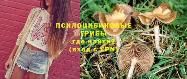 бутират Баксан