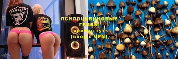 стафф Фурманов