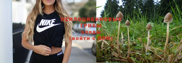 бутират Баксан