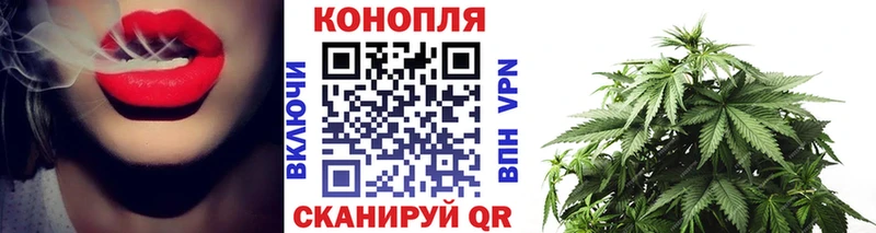 цена   Волгоград  Конопля гибрид 